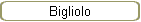 Bigliolo
