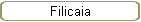 Filicaia