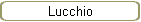 Lucchio