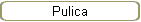 Pulica