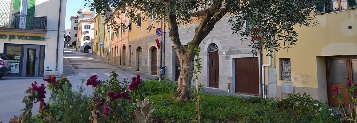 Riparbella