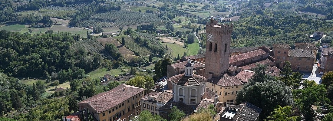 San Miniato-Vista dalla Torre Federico II